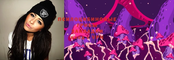 мет Алексин