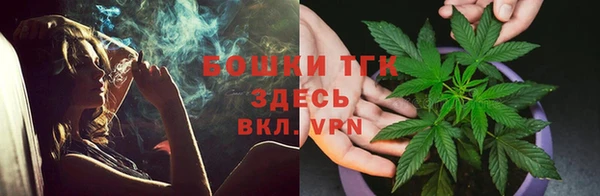 шишки Алексеевка