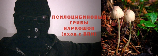 шишки Алексеевка