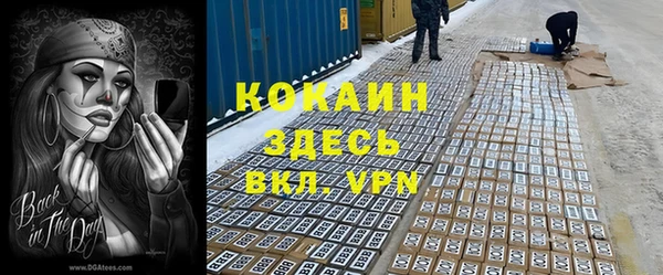 мет Алексин