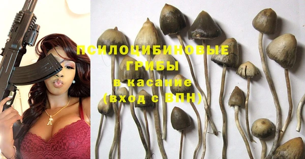 шишки Алексеевка