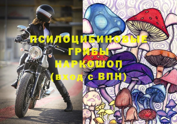 шишки Алексеевка